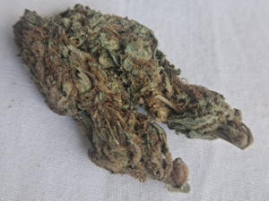 SWEET LEMONADE - Sativa