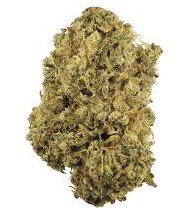 DURBAN POISON - Sativa