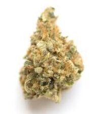 MANDARIN COOKIES - Hybrid