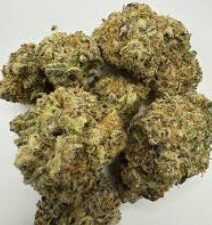 PANCAKE ICE - Indica