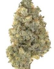 STRAWBERRY OREOS - Indica