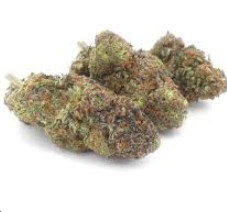 UNICORN POOP - Hybrid