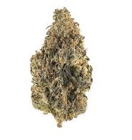 CALI O - Sativa
