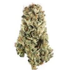 CHERRY PIE - Indica