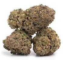 SKYWALKER OG - Hybrid