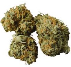 GORILLA GLUE - Hybrid